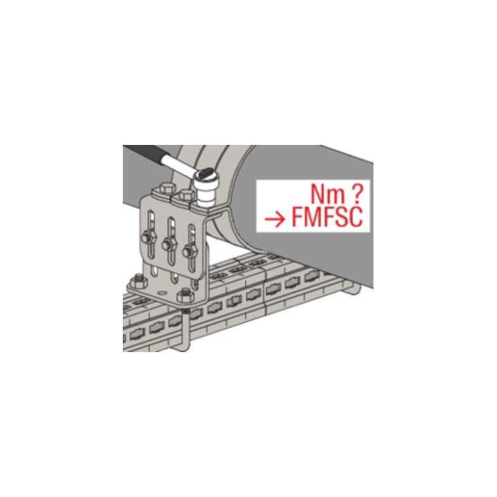 fischer Collier de serrage massif FMFSC 250