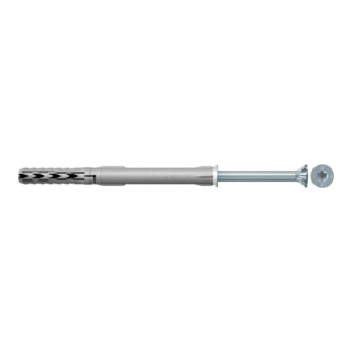 fischer Constructieplugplug SXR T met schroef