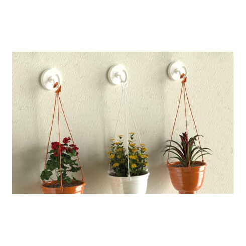 fischer Crochets adhésifs Multipack (3)