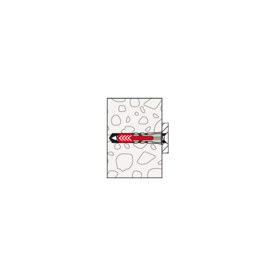 fischer DuoPower 10x50 Eimer