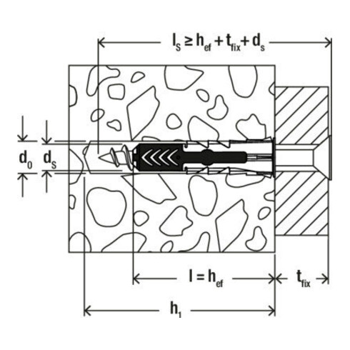 fischer DuoPower 10x50 K (8)