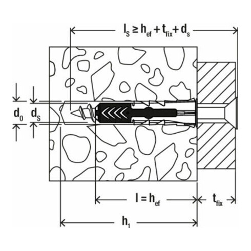 fischer DuoPower 6x30 Eimer