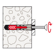 fischer  DuoPower 8x65-5
