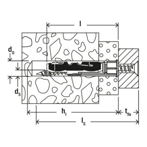 fischer DuoTec 10 K (2)