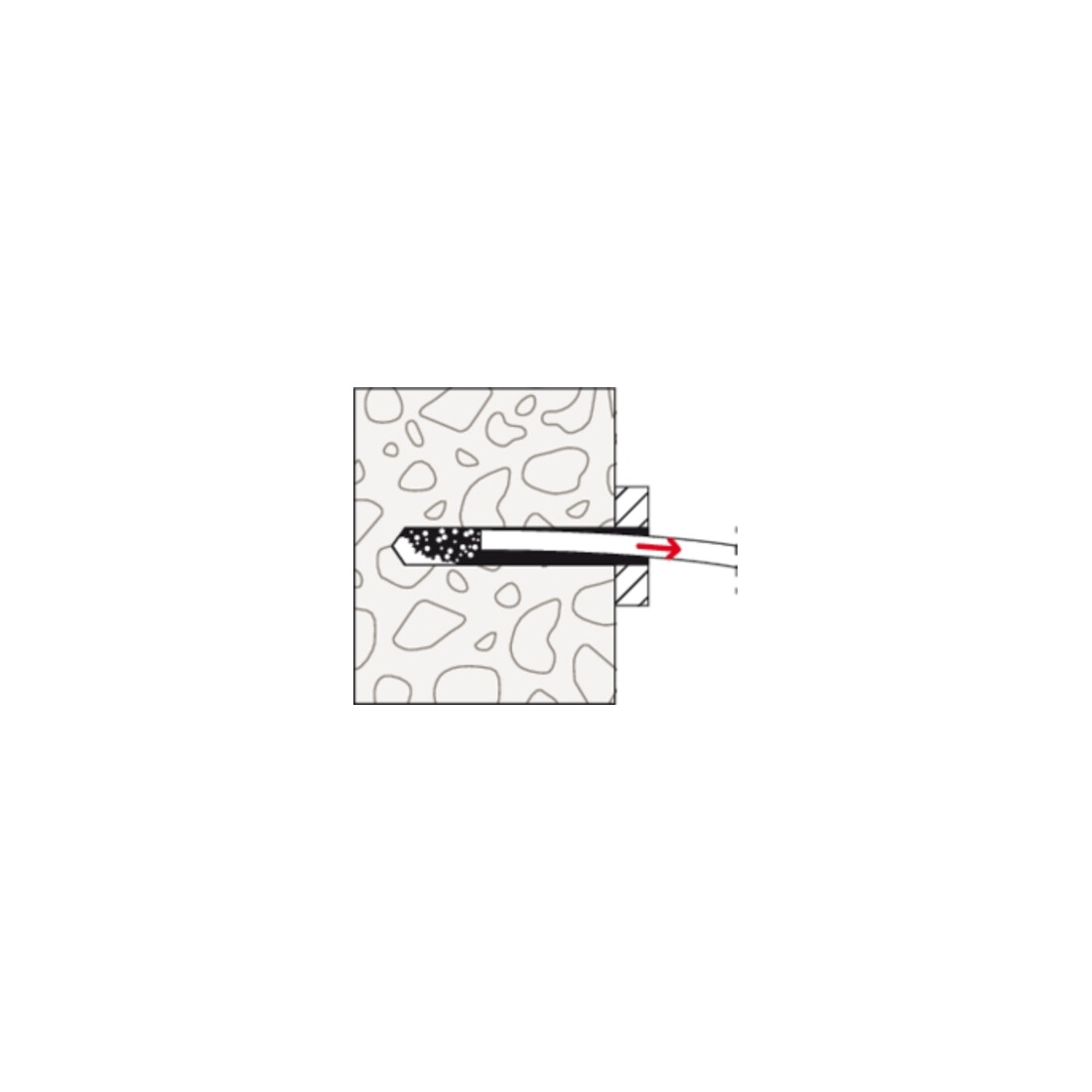 fischer DuoXpand 10x100 T avec vis FUS