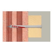 fischer DuoXpand 10x100 T B (10)-2
