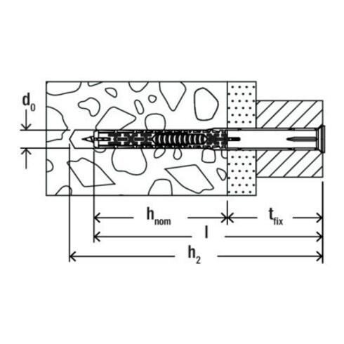 fischer DuoXpand 10x100 T K (4)