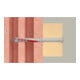 fischer DuoXpand 10x80 T B (10)-2