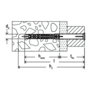 fischer DuoXpand 10x80 T K (4)-5