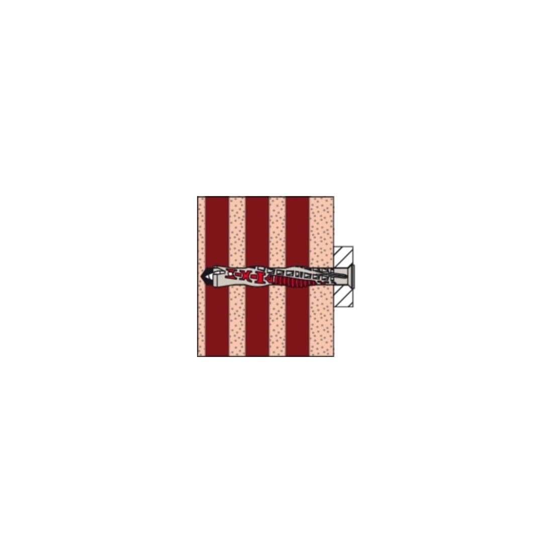 fischer DuoXpand 8x100 T B (10)
