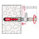 fischer EasyHook Loop 6 DuoPower
