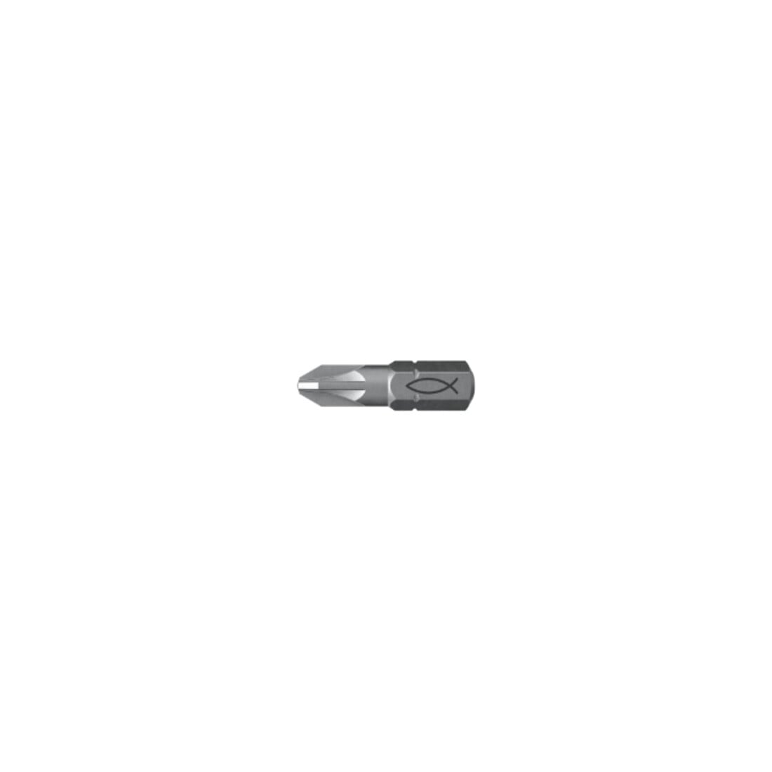 fischer Embout acier 10x FPB PZ 2