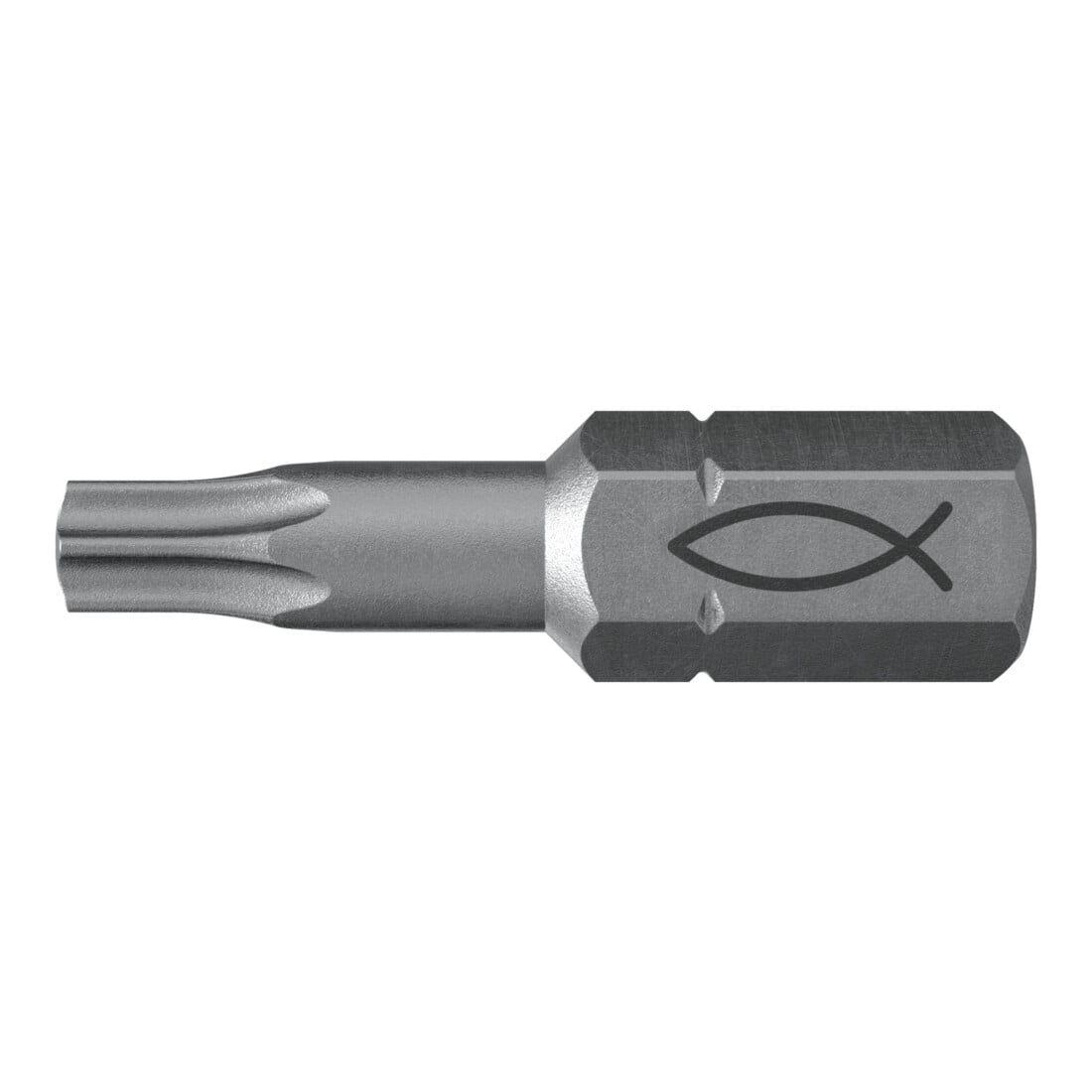 fischer Embout acier 10x FPB T 10
