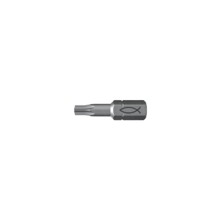 fischer Embout acier 10x FPB T 15