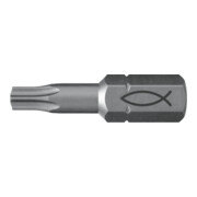 fischer Embout acier 10x FPB T 25-1