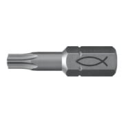 fischer Embout acier 10x FPB T 25-3
