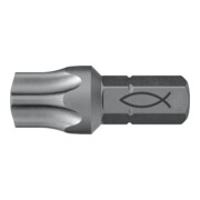 fischer Embout acier 1x FPB TX 50-3