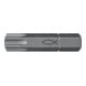 fischer Embout acier FPB T 50 5/16"