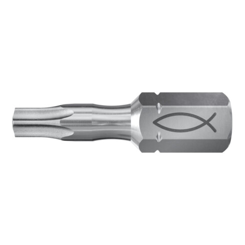fischer Embout diamant FDB T 40