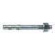 fischer Express-Anker EXA 10/5 gvz