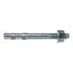fischer Express-Anker EXA 6/5 gvz-1