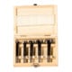 fischer Forstnerbohrer D-WFo Set 5-teilig