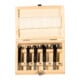 fischer Forstnerbohrer D-WFo Set 5-teilig