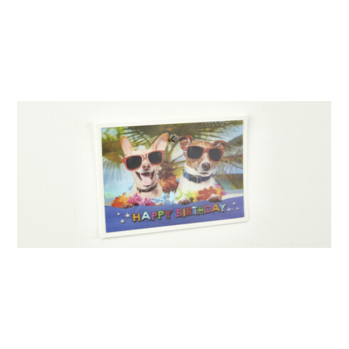 fischer GOW Magnetkralle (4)