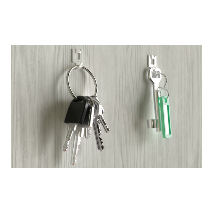 fischer Griffe pour tableaux Multipack (24)
