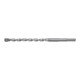 fischer Hamerboor SDS Plus II Pointer 10/250/310-1
