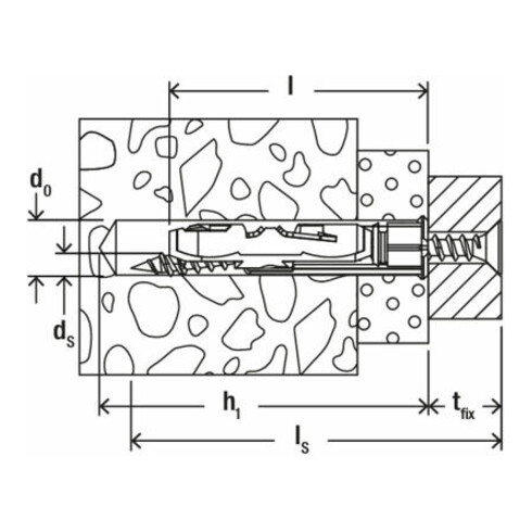 fischer  Hollewandplug DuoTec 12