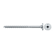 product.name