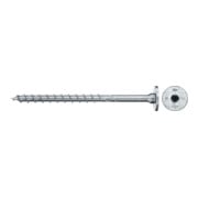 product.name