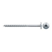 product.name