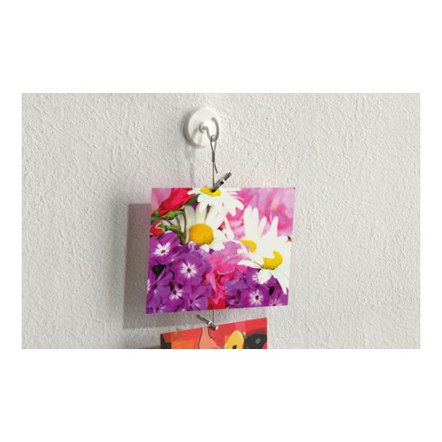 fischer Klebehaken Multipack (3)