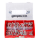 fischer L-Boxx mini DuoPower kurz & lang (210 Teile)-2