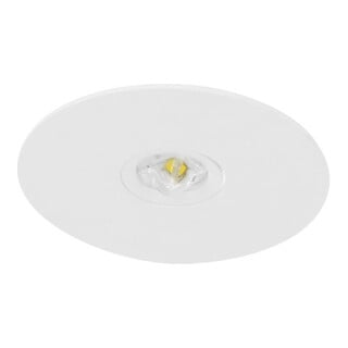 FiSCHER LED-Sicherheitsleuchte BRE319M Mesh/NB Add.on
