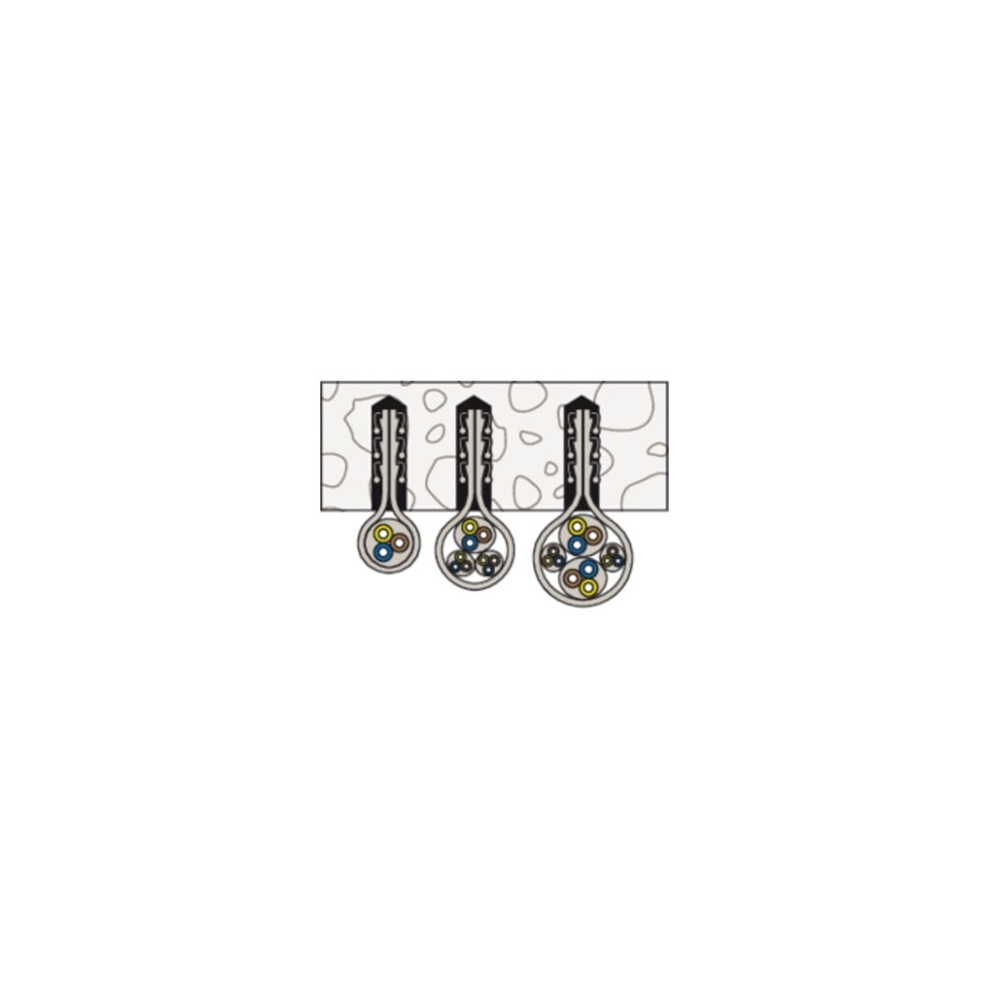 fischer Steckfix SF plus LS
