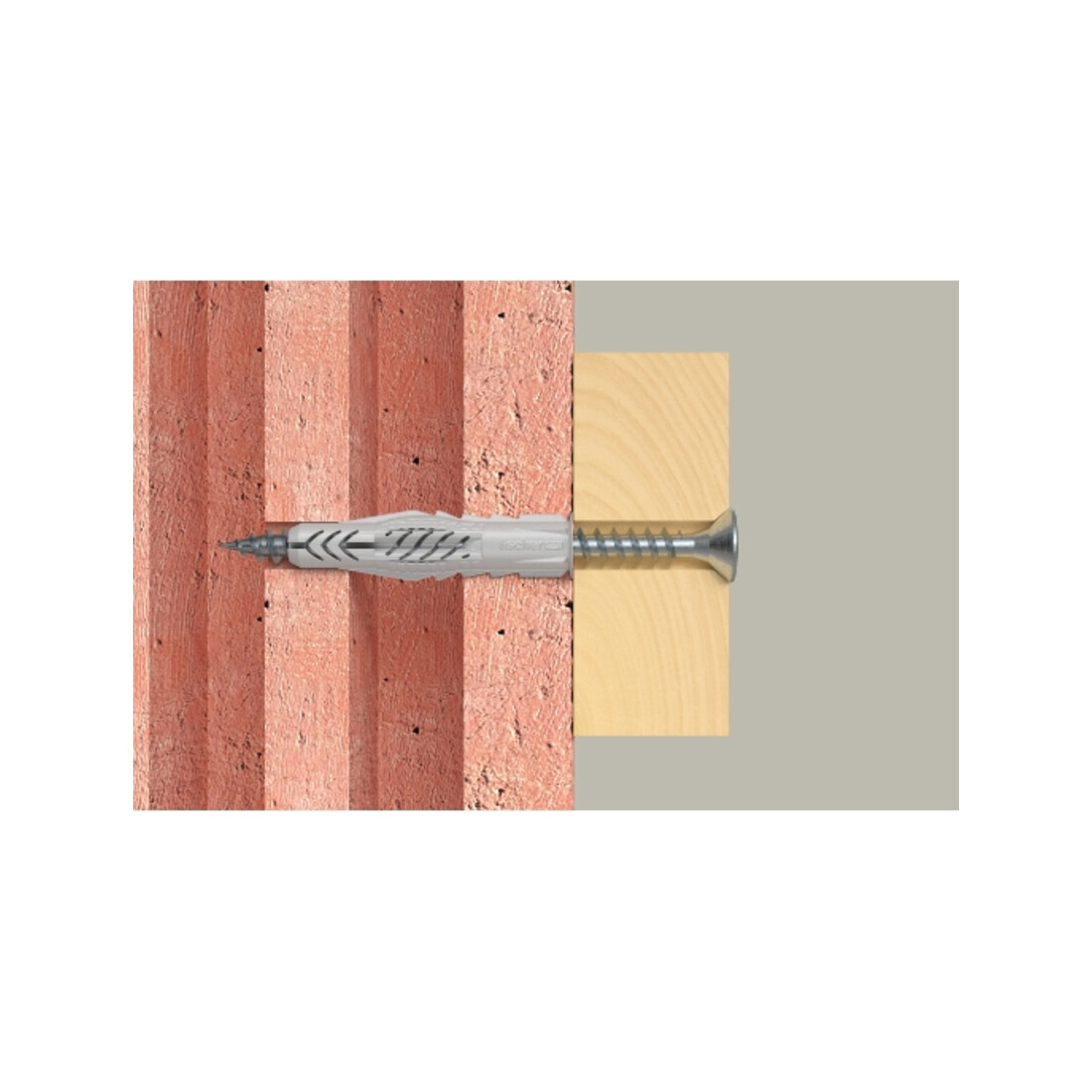 fischer M-Set Regale K