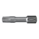 fischer Maxx embouts FMB II TX25 (5)-1