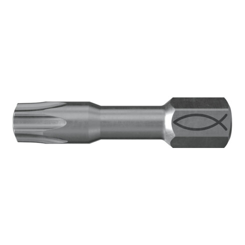 fischer Maxx embouts FMB II TX25 (5)