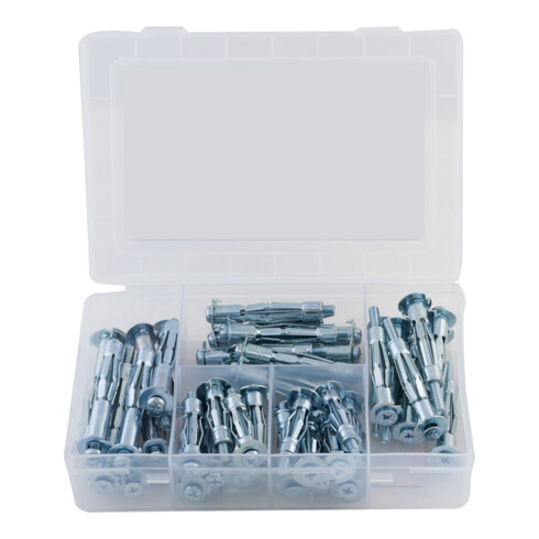 fischer Meister-Box Hohlraum + Schraube (50 Teile)