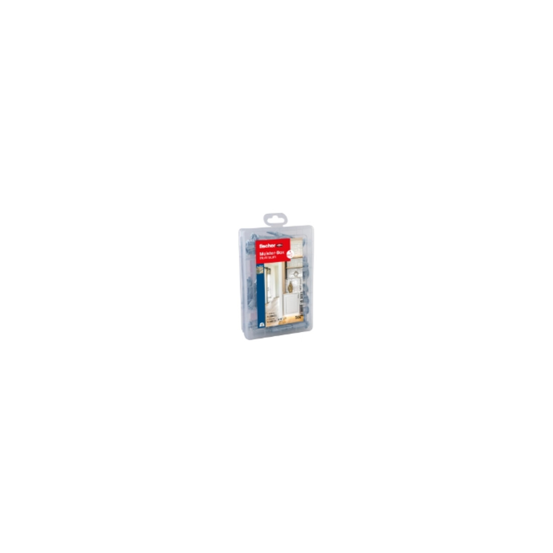 fischer Meister-Box Hohlraum + Schraube (50 Teile)