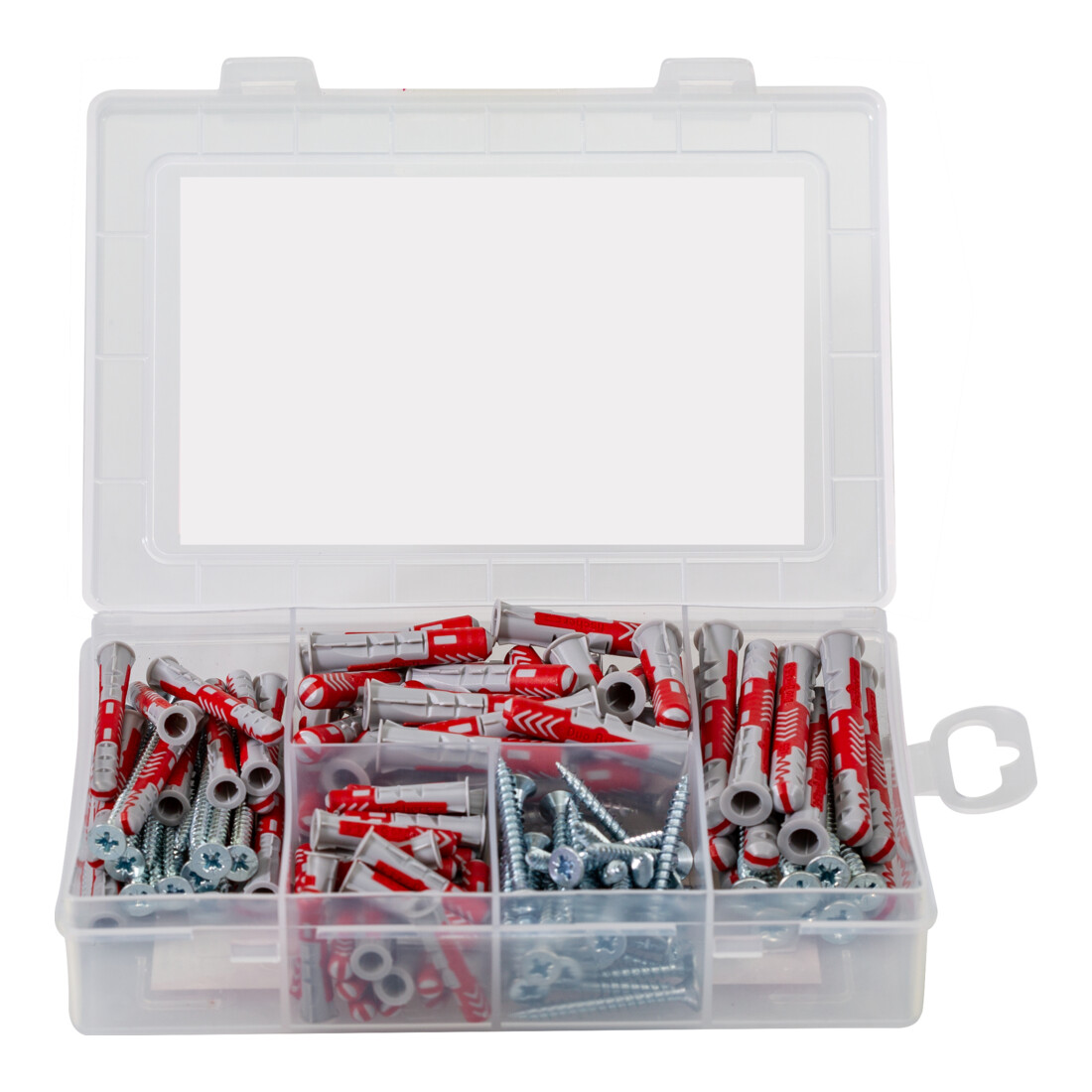 fischer Meister-Box Rénovation + Vis (150 pièces)