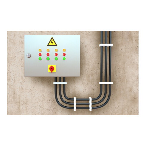 fischer Morsetto SCH