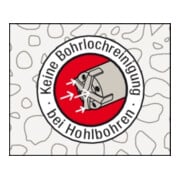 fischer Multifunktionsmörtel 100 P K-4