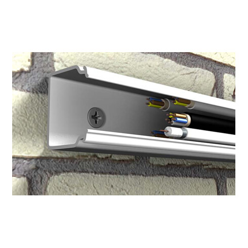 fischer Nageldübel SB-Karte N 5x30 ZK