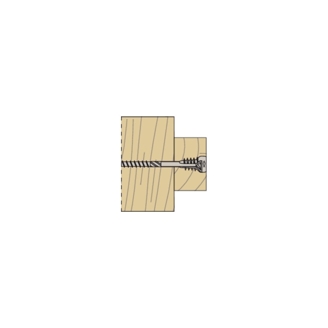 fischer Outil de pose + bit pour vis de réglage FAFS