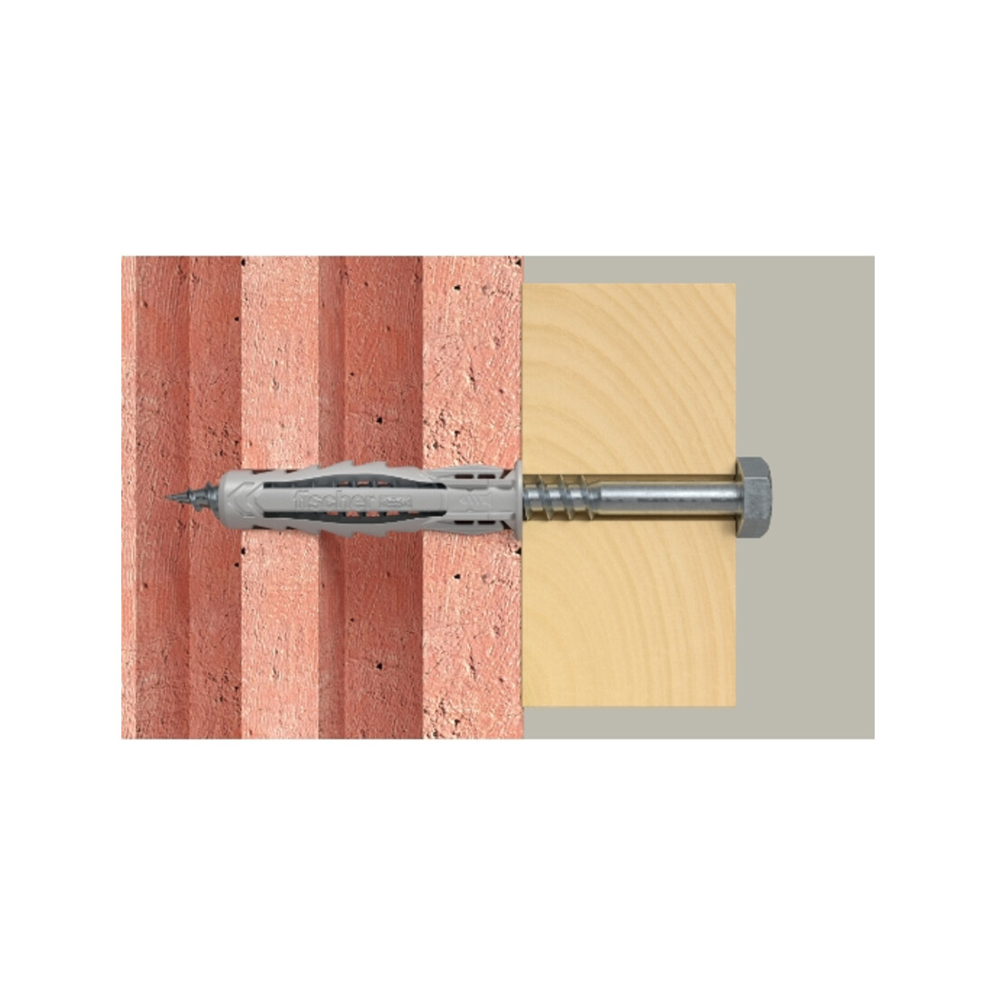 fischer plug SX Plus 10 x 50