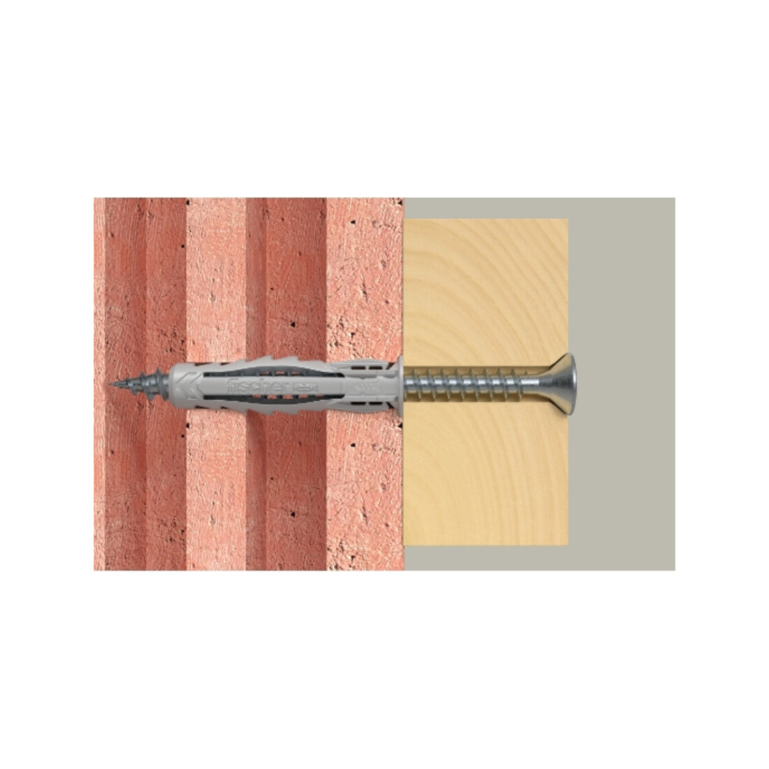 fischer plug SX Plus 6 x 30